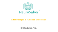 ALFABE E FUN EXEC.pptx.pdf